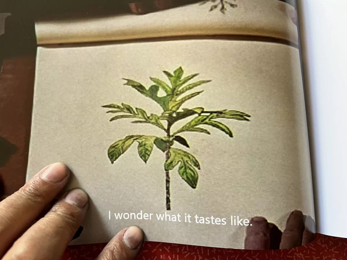 所有令人屏息的 2024亞雙展11月登場